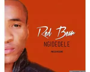 Red Bear - Ngidedele (Original Mix)